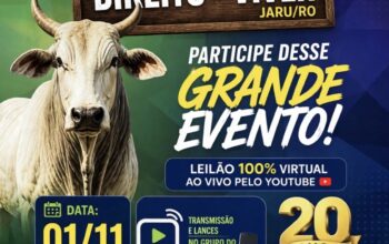 Vem aí o 20° Leilão Direito de Viver em prol do Hospital de Amor em Jaru