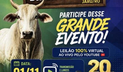 Vem aí o 20° Leilão Direito de Viver em prol do Hospital de Amor em Jaru