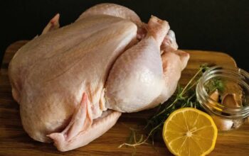 china amplia produção de frango e pode se tornar concorrente do brasil no mercado internaciona