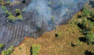 Desmatamento na Amazônia atinge menor nível da série histórica em 2025, aponta MapBiomas