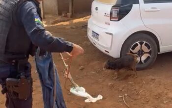 Guarnição composta pelo cabo PM Ted e cabo PM Gabriel resgata cachorro em situação delicada em Jaru