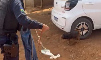 Guarnição composta pelo cabo PM Ted e cabo PM Gabriel resgata cachorro em situação delicada em Jaru