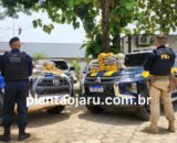 Ação conjunta entre Polícia Militar e PRF apreende 65 kg de maconha e prende motorista suspeito de tráfico de drogas em Buritis