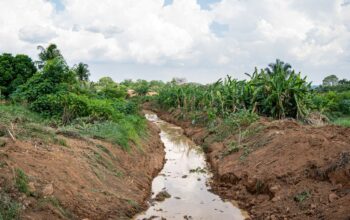 Prefeitura de Jaru realiza limpeza de canais na zona urbana do município; ação contribui para prevenir alagamentos no período chuvoso
